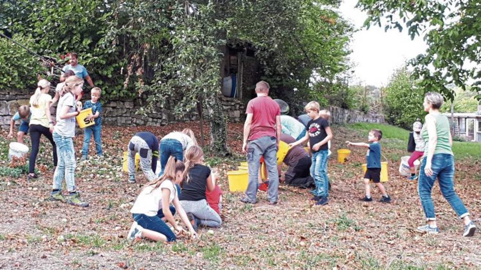 Kinder, Jugendliche und Erwachsene haben in Häfnerhaslach fleißig Streuobst gesammelt. Foto: p Kinder, Jugendliche und Erwachsene haben in Häfnerhaslach fleißig Streuobst gesammelt. Foto: p