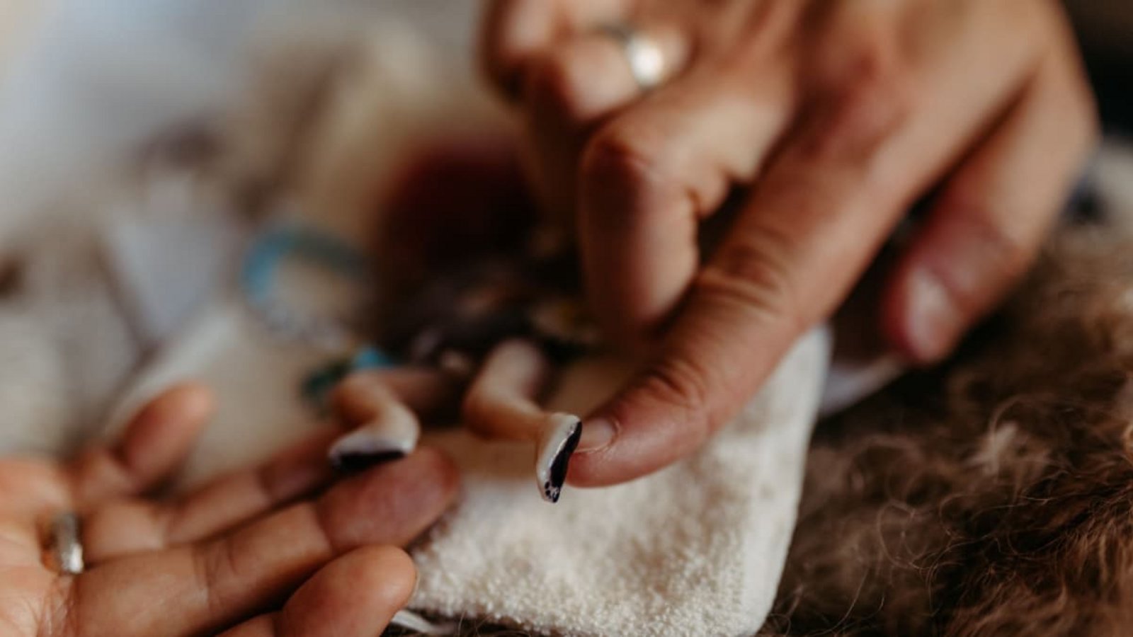 Eine Ehepaar aus der Nähe von Karlsruhe hat nach einem Schicksalsschlag entschieden, dass es anderen Betroffenen mit früh verstorbenen Kindern helfen will.Landesstelle Früher Kindstod Baden-Württemberg