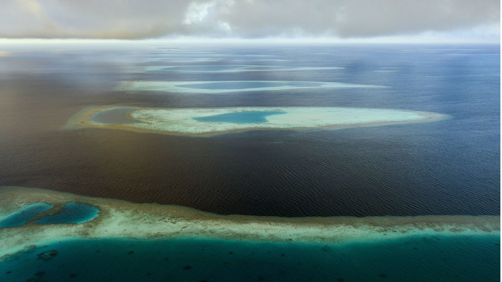 Nord -Ari-Atoll: Malediven im Indischen Ozean.Foto: mago/OceanPhoto Nord -Ari-Atoll: Malediven im Indischen Ozean.Foto: mago/OceanPhoto