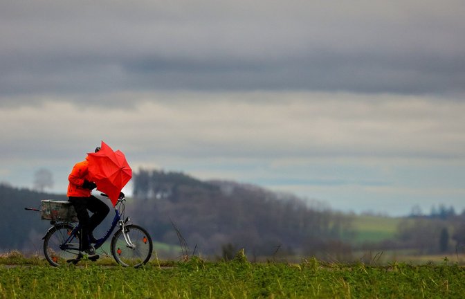 Regen und teilweise orkanartige Böen erwartet der Wetterdienst im Laufe der Woche. (Symbolbild)<span class='image-autor'>Foto: dpa/Thomas Warnack</span>