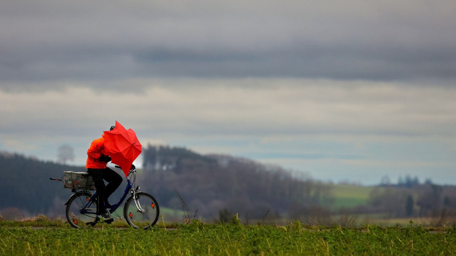 Regen und teilweise orkanartige Böen erwartet der Wetterdienst im Laufe der Woche. (Symbolbild)Foto: dpa/Thomas Warnack