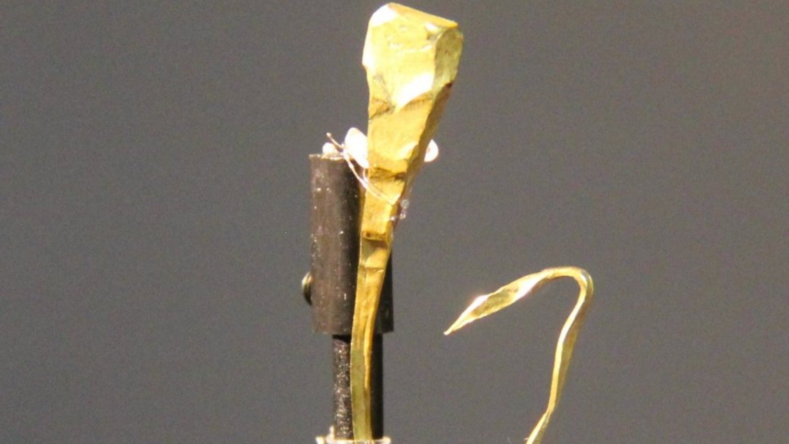 Goldstück: Der Draht, der in Hochdorf ausgegraben wurde, sollte vermutlich zu Goldschmuck ausgearbeitet werden. Goldstück: Der Draht, der in Hochdorf ausgegraben wurde, sollte vermutlich zu Goldschmuck ausgearbeitet werden.