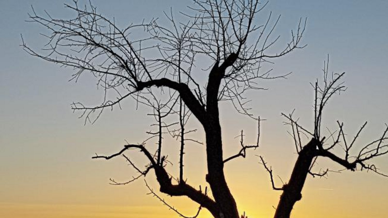 Wunderschöner Sonnenuntergang – aufgenommen in der Nähe des Auricher Häckselplatzes. Foto: Janson