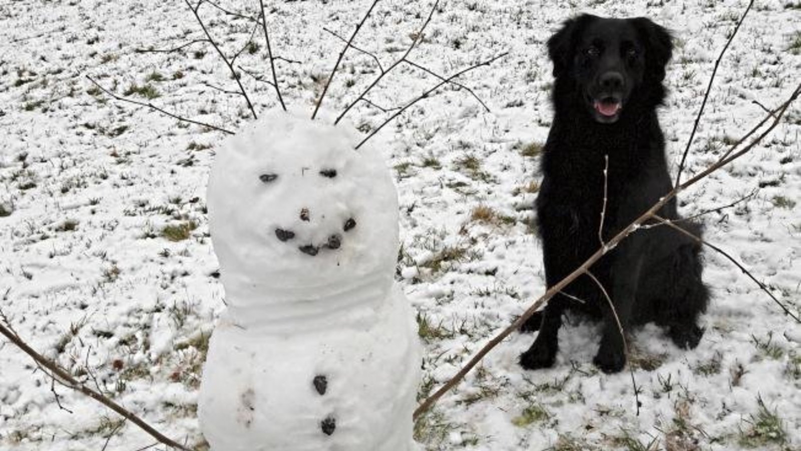 Einer sitzt und einer steht – doch der aus Schnee vergeht. Zwei lustige Burschen im Auricher Kreuzbachtal. Foto: Rücker Einer sitzt und einer steht – doch der aus Schnee vergeht. Zwei lustige Burschen im Auricher Kreuzbachtal. Foto: Rücker