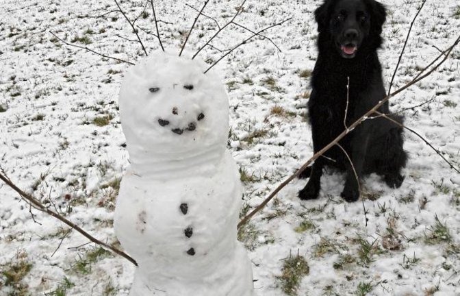 Einer sitzt und einer steht – doch der aus Schnee vergeht. Zwei lustige Burschen im Auricher Kreuzbachtal. Foto: Rücker