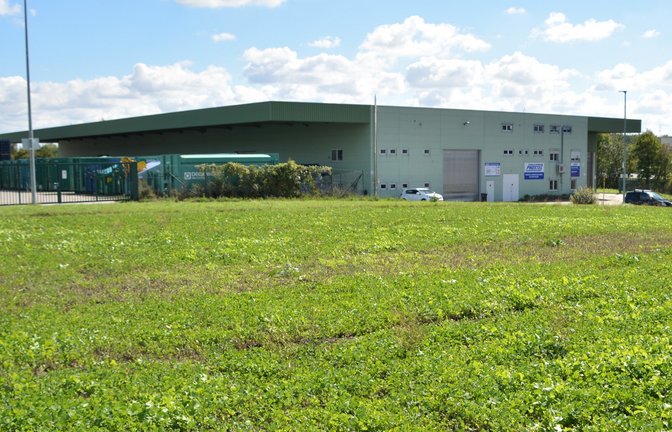 Hier sollen im Schweichling die Logistikhallen entstehen. Die Halle im Hintergrund soll abgerissen werden. <span class='image-autor'>Foto: Stahlfeld</span>