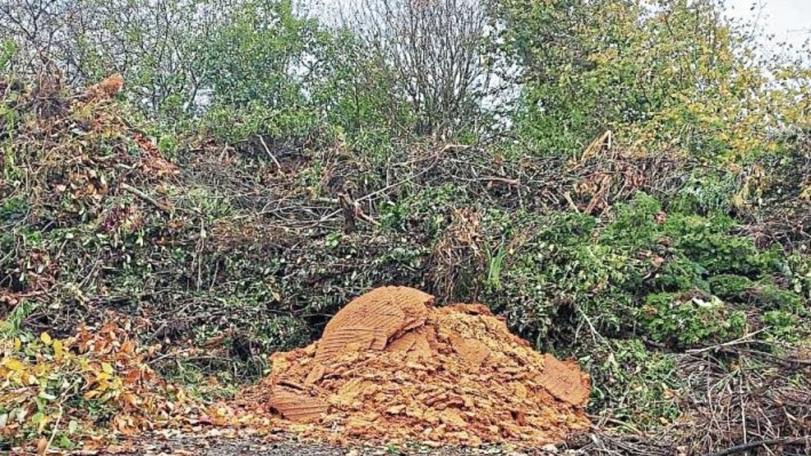 Der Bauhof der Stadt Vaihingen hat mal wieder eine unzulässige Ablagerung auf dem Häckselplatz in Aurich festgestellt: Apfeltrester gehört nicht auf den Häckselplatz! Diese Ablagerung stellt eine Ordnungswidrigkeit dar und kann zur Anzeige gebracht werden Der Bauhof der Stadt Vaihingen hat mal wieder eine unzulässige Ablagerung auf dem Häckselplatz in Aurich festgestellt: Apfeltrester gehört nicht auf den Häckselplatz! Diese Ablagerung stellt eine Ordnungswidrigkeit dar und kann zur Anzeige gebracht werden