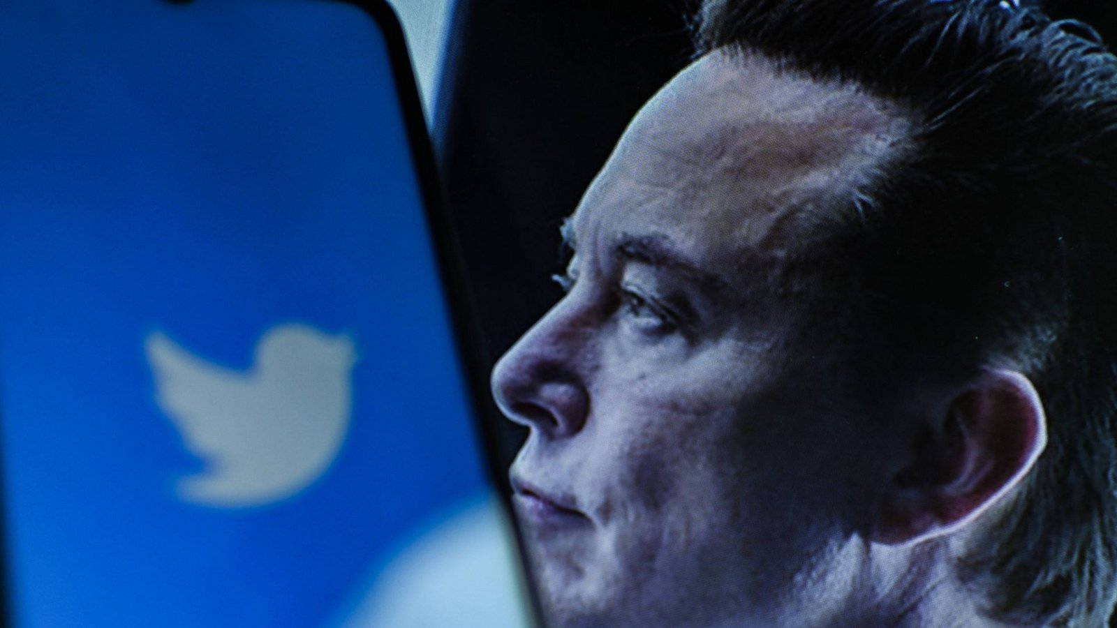Was hat Elon Musk mit Twitter vor?Foto: IMAGO//Adrien Fillon Was hat Elon Musk mit Twitter vor?Foto: IMAGO//Adrien Fillon