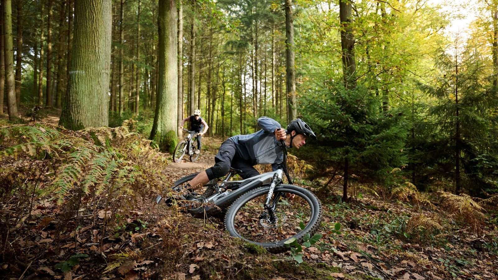 Mountainbiker Maximilian Jakubowski aus Stuttgart unterwegs durch den Wald – hier auf einem legalen Trail.Foto: Mountainbiker Maximilian Jakubowski aus Stuttgart unterwegs durch den Wald – hier auf einem legalen Trail.Foto: 