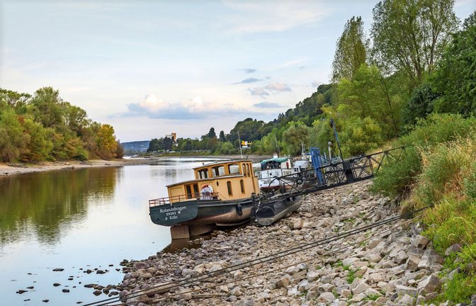 Auch bei  der Rheininsel Nonnenwerth  herrscht Niedrigwasser.<span class='image-autor'>Foto: Imago/Marc Joh/n</span>