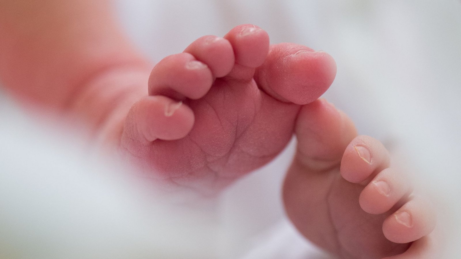 Beim Neugeborenen-Screening kommen neue Untersuchungen hinzu. (Symbolblid)Foto: Arno Burgi/dpa-Zentralbild/dpa