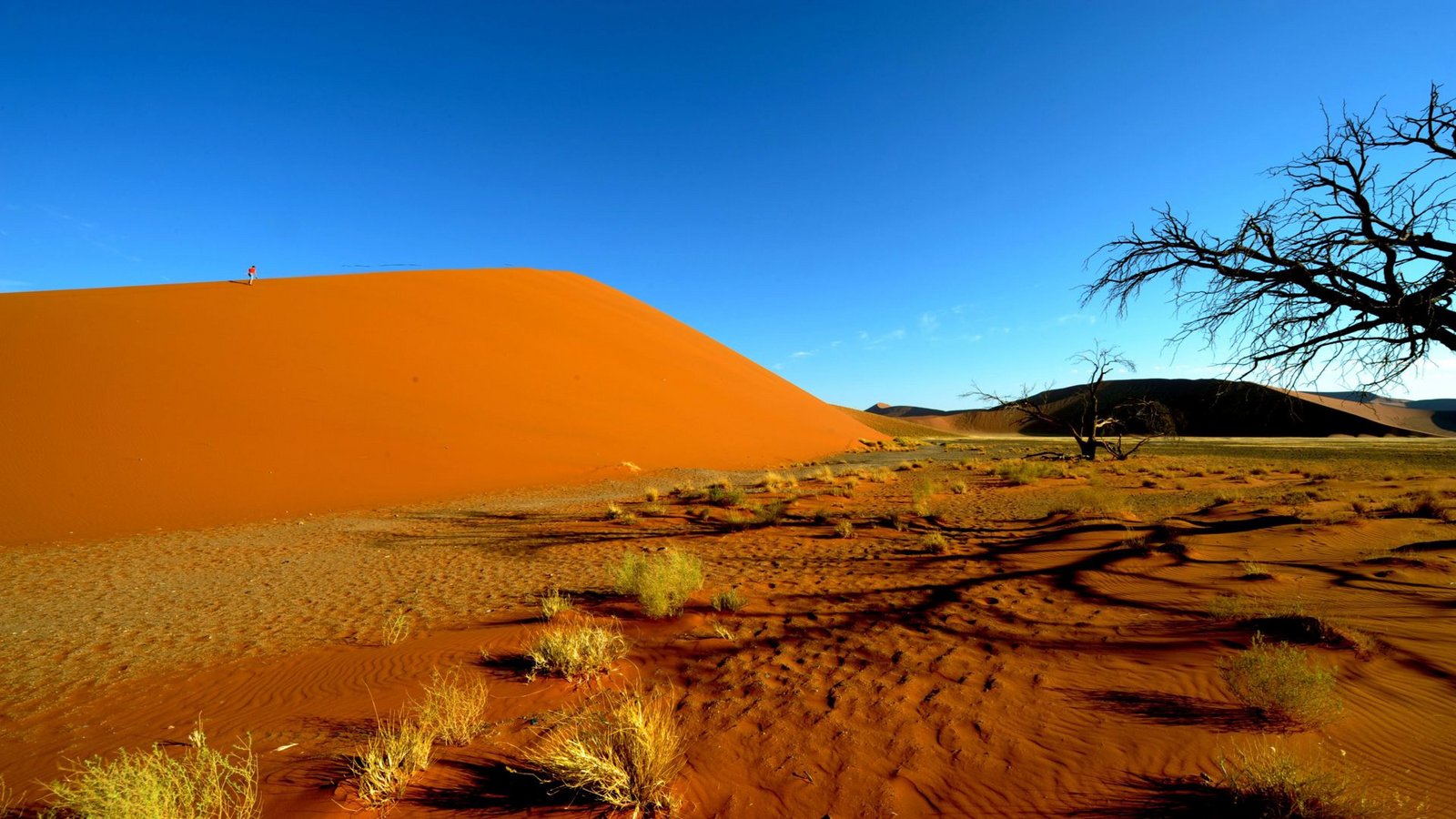 Dünen in Sossusvlei nahe Sesriem im Namib Naukluft Park (Namibia) (Archivbild).Foto: Ralf Hirschberger/dpa