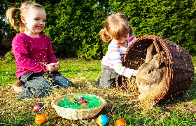 Traditionelles Osterfest mit Osterhase und bunten Ostereiern.<span class='image-autor'>Foto: dpa/Patrick Pleul</span>
