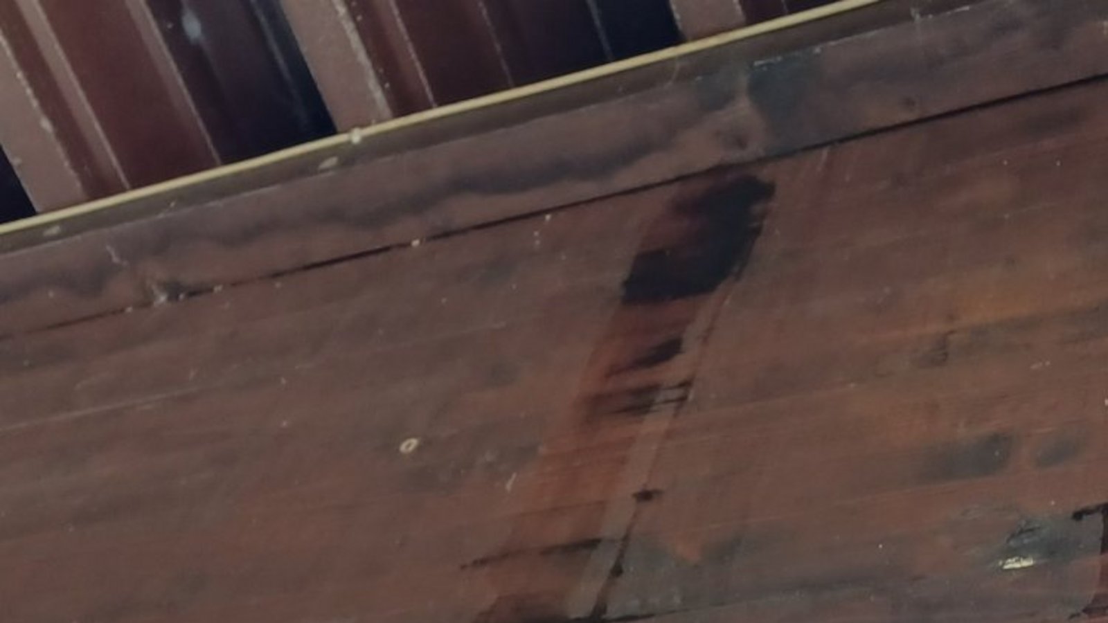 Nach einem Regen läuft das Wasser an der inneren Dachverkleidung des Freibads runter. Nach einem Regen läuft das Wasser an der inneren Dachverkleidung des Freibads runter.
