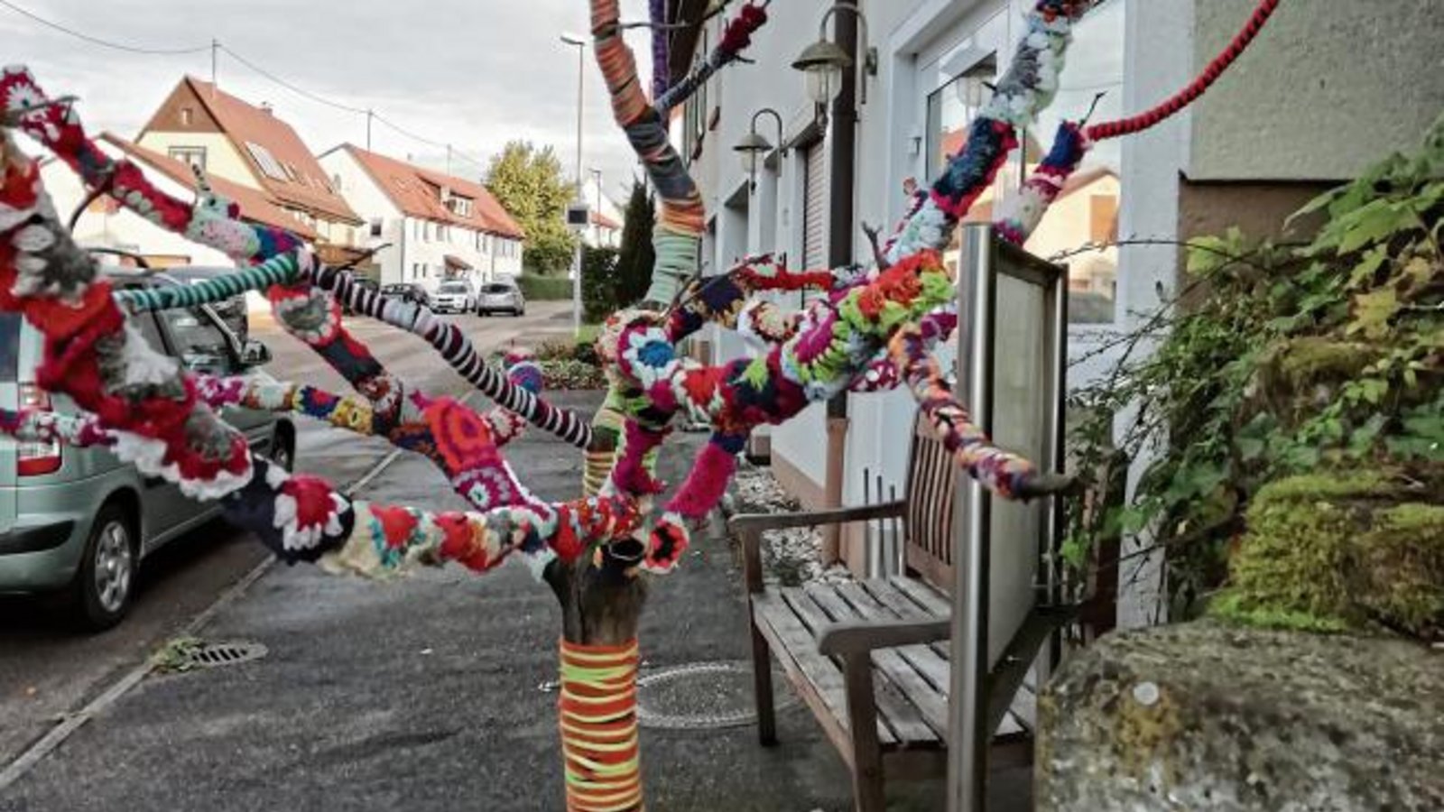 Wer seinen Baum so bestrickt, muss ihn doch lieben. Gerhard Zink entdeckte diesen Blickfang in Aurich. Wer seinen Baum so bestrickt, muss ihn doch lieben. Gerhard Zink entdeckte diesen Blickfang in Aurich.