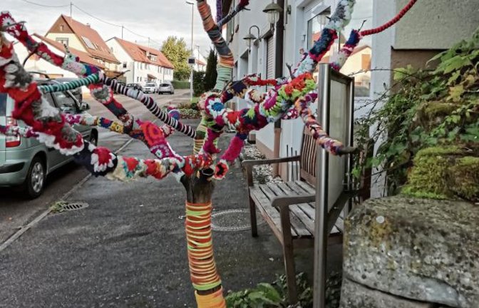 Wer seinen Baum so bestrickt, muss ihn doch lieben. Gerhard Zink entdeckte diesen Blickfang in Aurich.