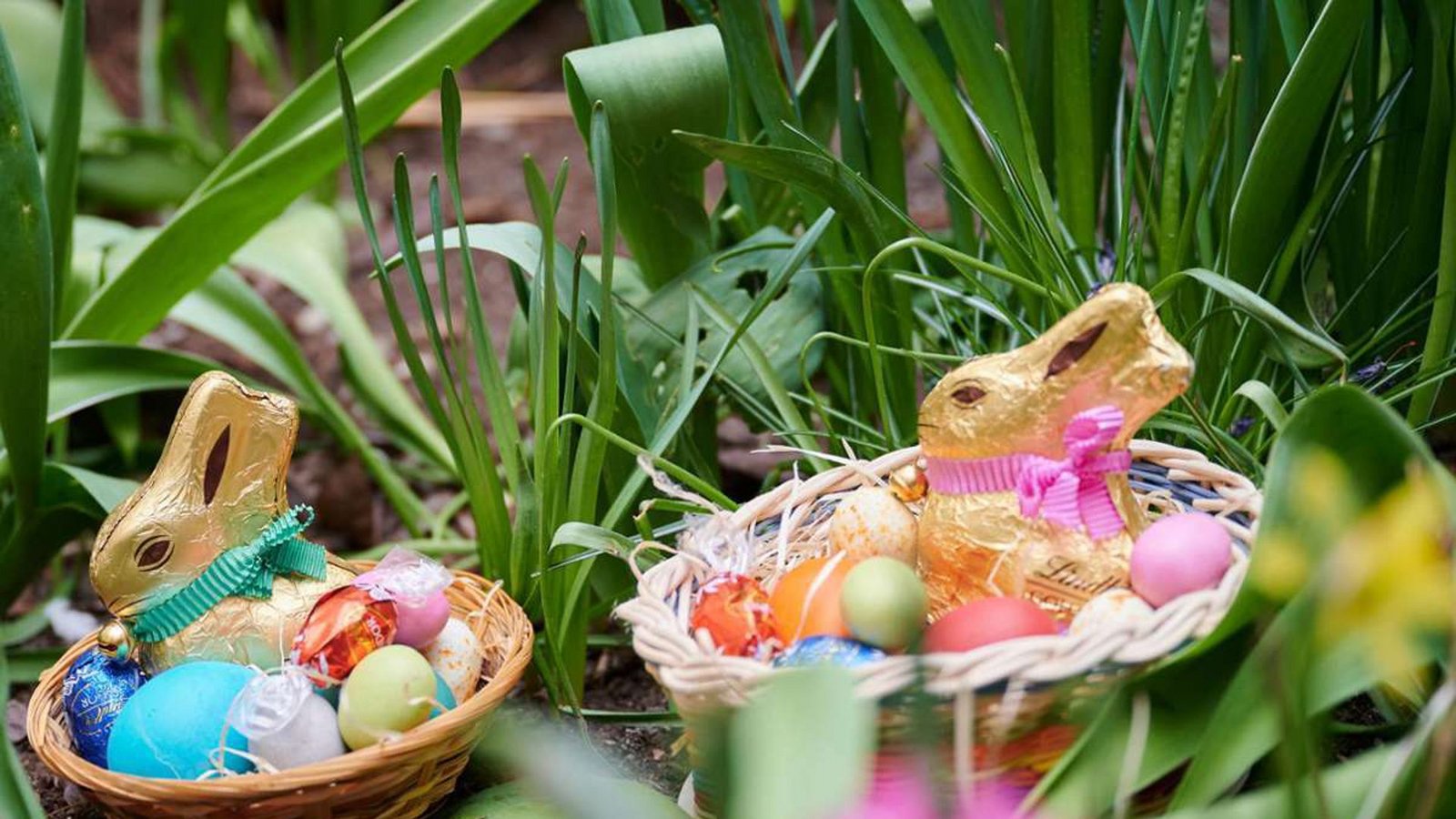 Am Morgen des Ostersonntag werden nach dem traditionellen Osterspaziergang von den Kindern die im Garten versteckten Osternester gesucht.Foto: dpa/Annette Riedl Am Morgen des Ostersonntag werden nach dem traditionellen Osterspaziergang von den Kindern die im Garten versteckten Osternester gesucht.Foto: dpa/Annette Riedl