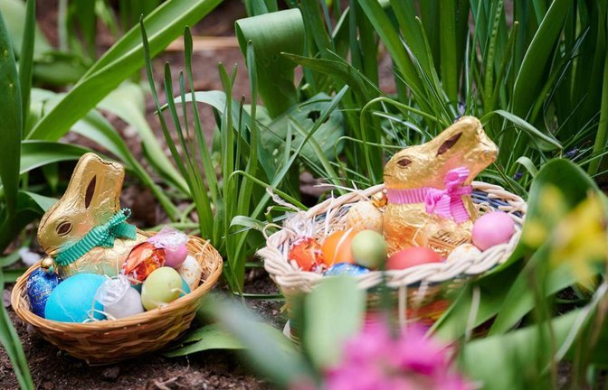 Am Morgen des Ostersonntag werden nach dem traditionellen Osterspaziergang von den Kindern die im Garten versteckten Osternester gesucht.<span class='image-autor'>Foto: dpa/Annette Riedl</span>