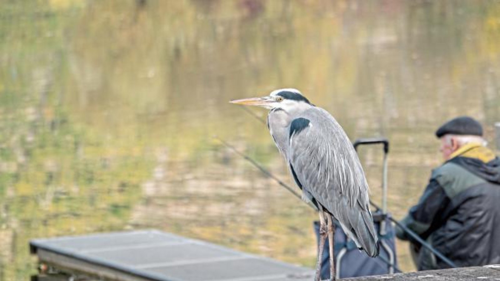 „Angler unter sich“, schreibt Berthold Mede aus Eberdingen zu seinem Foto.
