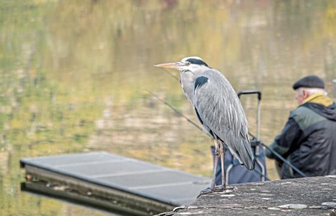 „Angler unter sich“, schreibt Berthold Mede aus Eberdingen zu seinem Foto.