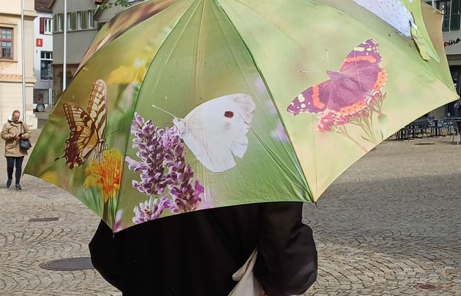 Dieser Regenschirm macht doch mal richtig gute Laune.  <span class='image-autor'>Foto: Rücker</span>