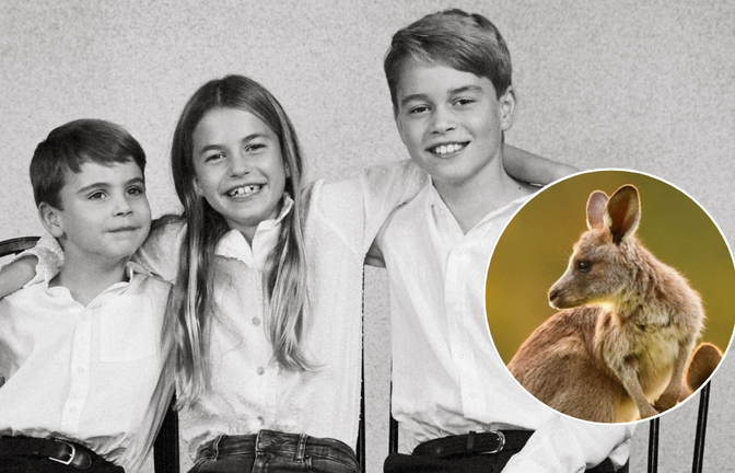 Prinz Louis, Prinzessin Charlotte und Prinz George durften ein Baby-Känguru benennen. (Symbolbild)<span class='image-autor'>Foto: picture alliance/dpa/Kensington Palace/PA Media | Josh Shinner; SouthWestImagesAus/Shutterstock</span>