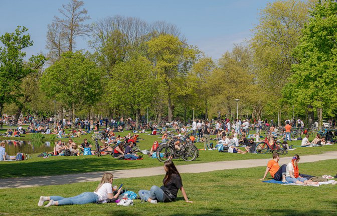Foto: Wut_Moppie / shutterstock.com
