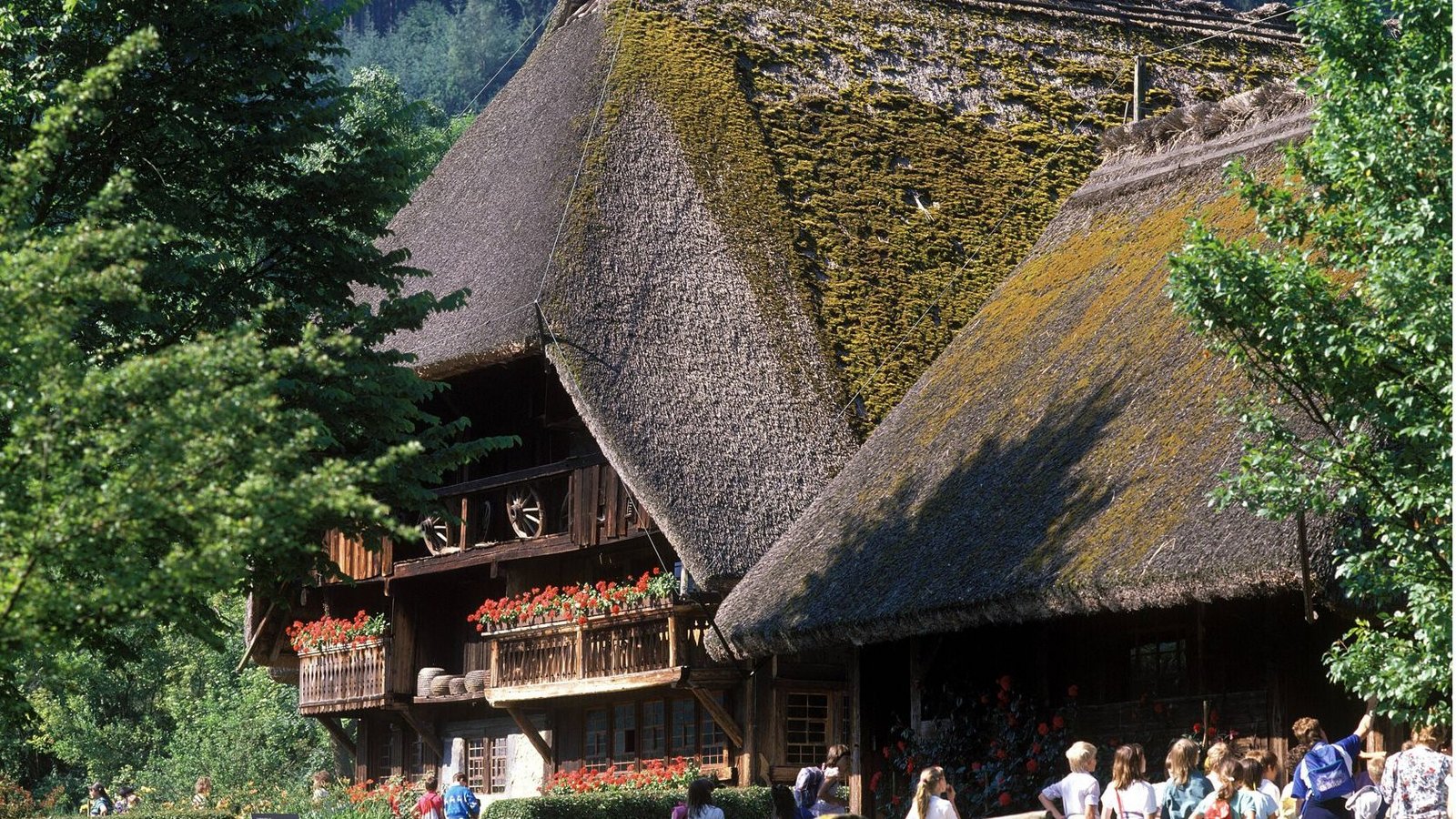 Wie sieht es unterm Walmdach eines typischen Schwarzwaldhofs aus? Im Freilichtmuseum Vogtsbauernhof erfährt man es.Foto: imago/SMID Wie sieht es unterm Walmdach eines typischen Schwarzwaldhofs aus? Im Freilichtmuseum Vogtsbauernhof erfährt man es.Foto: imago/SMID