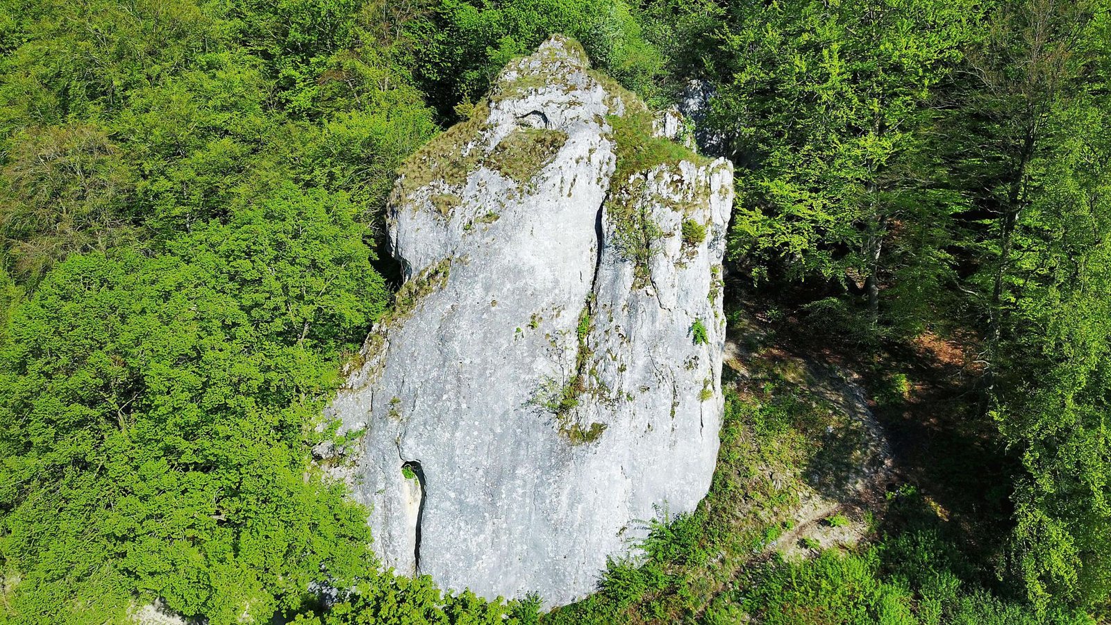Die Tierfigurine wurde im Hohle Fels bei Schelklingen entdeckt.Foto: Universität Tübingen/Jens Burkert Die Tierfigurine wurde im Hohle Fels bei Schelklingen entdeckt.Foto: Universität Tübingen/Jens Burkert