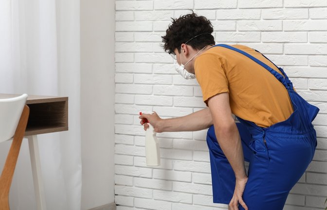 Lassen Sie den Schimmel gar nicht erst entstehen.<span class='image-autor'>Foto: Pixel-Shot / shutterstock.com</span>