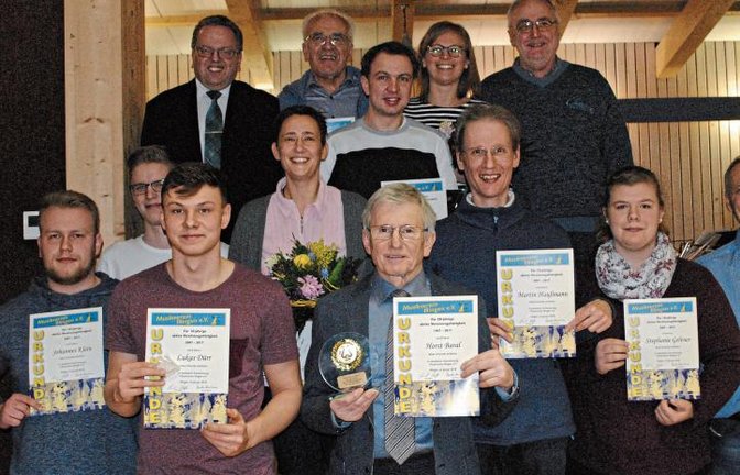 Vorsitzender Reimund Scheytt (hintere Reihe links) und sein Vize Erich Santi (hintere Reihe rechts) zeichneten am Freitag langjährige Mitglieder des Musikvereins Illingen aus.  Foto: Stahlfeld