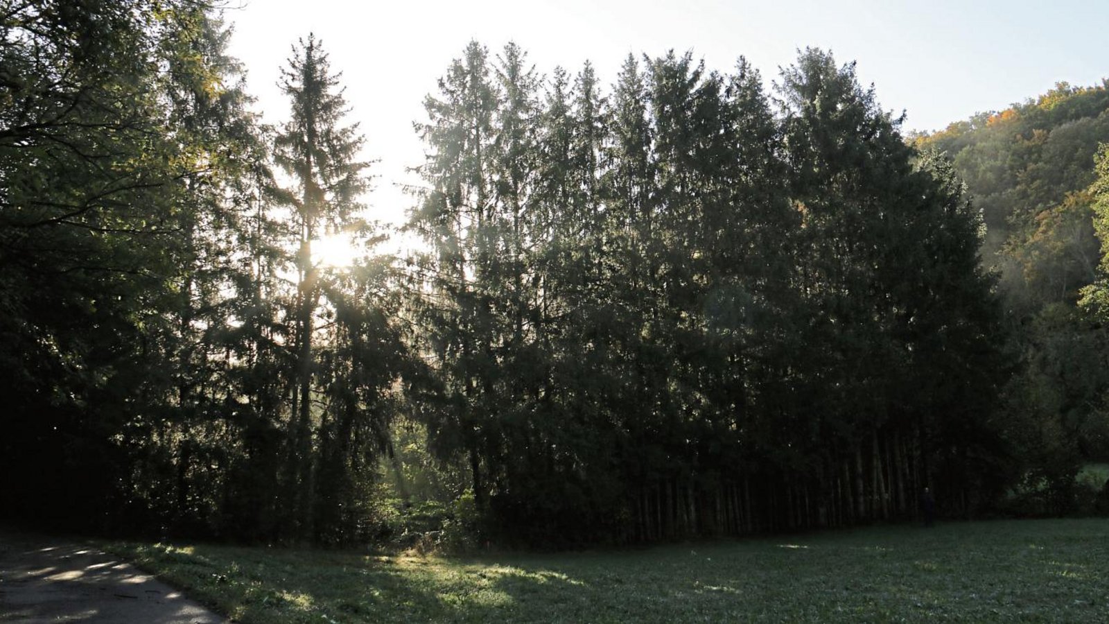 Dieser Hauch von Schwarzwald im Kreuzbachtal wird bald Geschichte sein und einem Auwäldchen weichen. Im Bild ist links der Feldweg, der kurz danach in die Schwarzwaldstraße mündet, rechts fließt der Kreuzbach. Fotos: Rücker Dieser Hauch von Schwarzwald im Kreuzbachtal wird bald Geschichte sein und einem Auwäldchen weichen. Im Bild ist links der Feldweg, der kurz danach in die Schwarzwaldstraße mündet, rechts fließt der Kreuzbach. Fotos: Rücker