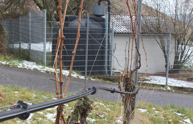 Rieselleitungen entlang der Reben am Gündelbacher Wachtkopf: Das Wasser aus dem Brunnen im Tal wird bis zu dem schwarzen Behälter (hinten) gepumpt und von dort aus verteilt. <span class='image-autor'>Foto: Rieger</span>