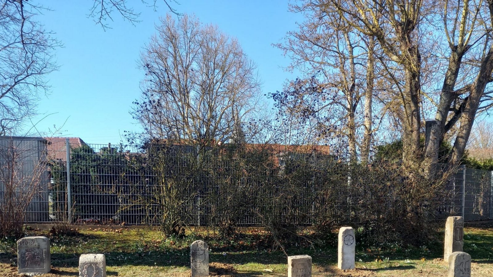 Nein, auf dem Rasenstück vor dem Horrhemer Friedhof werden jetzt nicht auch schon Verstorbene beerdigt. Es handelt sich vielmehr um alte Grenzsteine aus dem Museum Alte Kelter, welche die Passanten erfreuen sollen, wie Ortsvorsteherin Anita Götz zu ihrem Foto schreibt.