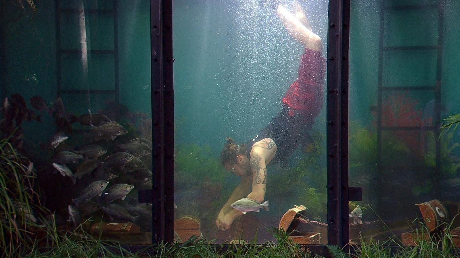 Gil Ofarim tauchte bei der Dschungelprüfung ab.Foto: RTL/dpa Gil Ofarim tauchte bei der Dschungelprüfung ab.Foto: RTL/dpa