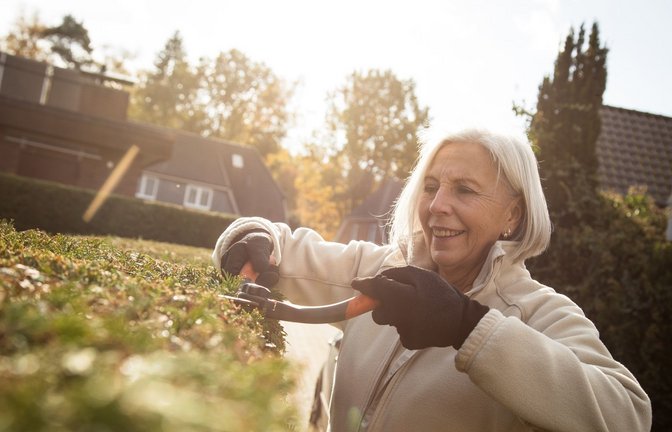 Goldener November im Garten.<span class='image-autor'>Foto: picture alliance / dpa-tmn</span>