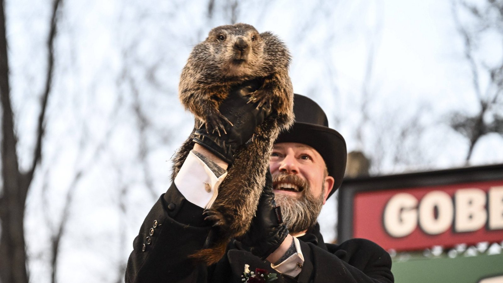 Groundhog Day 2023: Punxsutawney Phil sagt 6 weitere Wochen Winter voraus - so wie in diesem Jahr auch.Foto: IMAGO / Anadolu Agency Groundhog Day 2023: Punxsutawney Phil sagt 6 weitere Wochen Winter voraus - so wie in diesem Jahr auch.Foto: IMAGO / Anadolu Agency