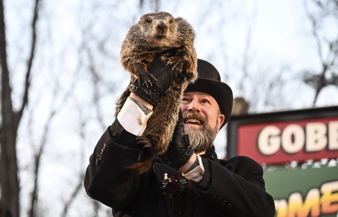 Groundhog Day 2023: Punxsutawney Phil sagt 6 weitere Wochen Winter voraus - so wie in diesem Jahr auch.<span class='image-autor'>Foto: IMAGO / Anadolu Agency</span>