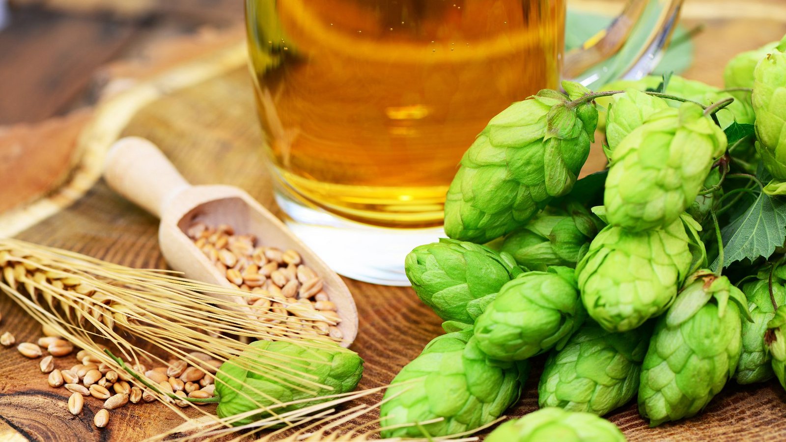 Hopfen ist eine wichtige Bierzutat.Foto: Printemps/ stock.adobe.com Hopfen ist eine wichtige Bierzutat.Foto: Printemps/ stock.adobe.com