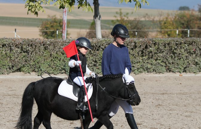 Lena Haller ist auf Küken-Tour unterwegs. In Nussdorf wird am Wochenende für die Jüngsten unter den Reitern viel geboten. <span class='image-autor'>Foto: privat</span>