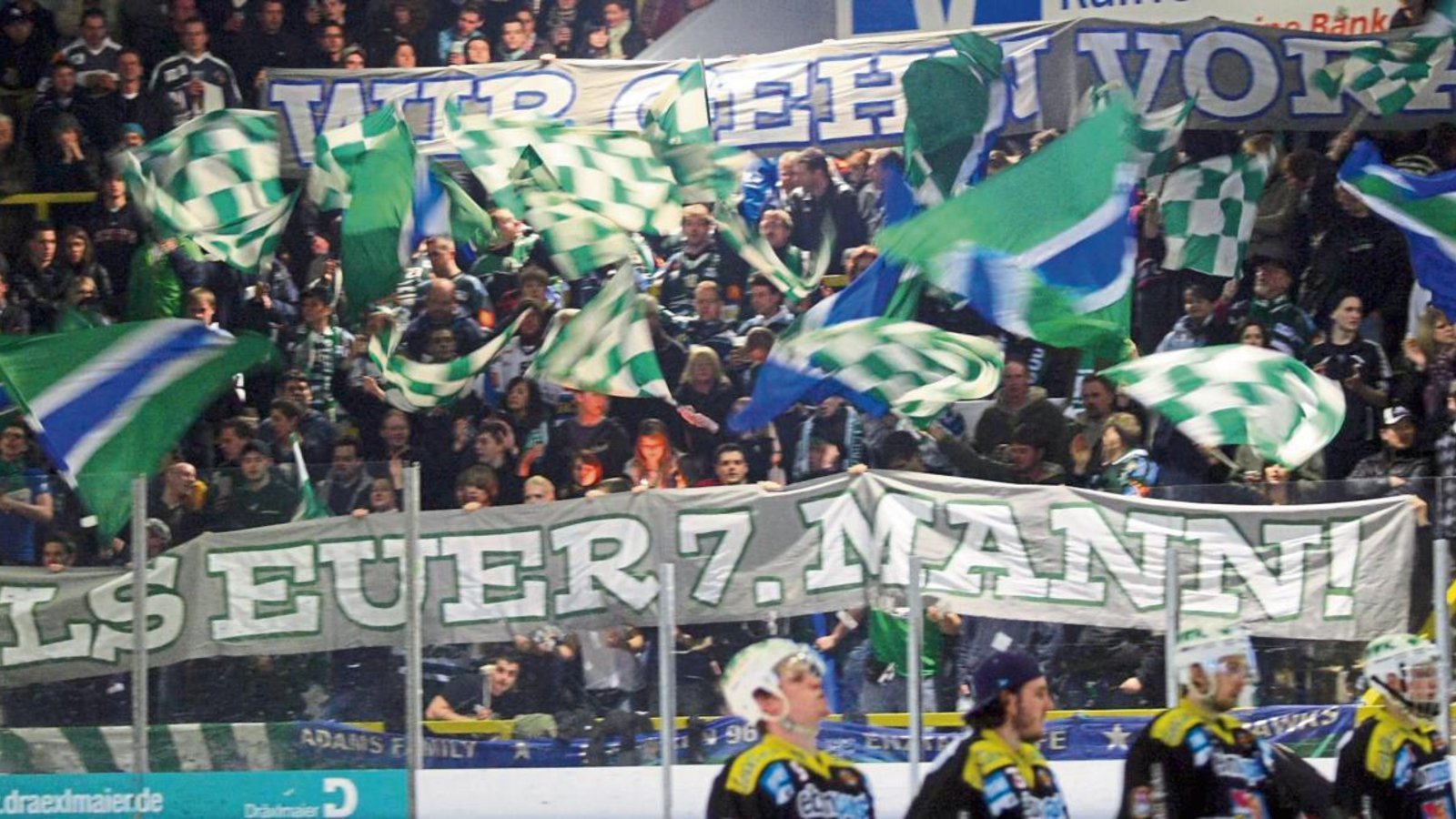 Auf die Fans können sich die Steelers verlassen. Um 816 000 Euro zusammenzubekommen, wollen die Bietigheimer einen Fan-Fonds auflegen. Das Interesse ist schon groß.  Foto: Simecek