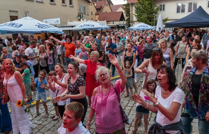 Der offizielle Festakt zum 50-jährigen Bestehen der Gesamtstadt Sachsenheim soll am 16. Juli im Äußeren Schlosshof als Teil und Abschluss der BdS-Veranstaltung „Sommer am Schloss“ stattfinden. Die Veranstalter hoffen auf genauso gute Stimmung wie im Jahr 2022.  <span class='image-autor'>Foto: Pangerl</span>
