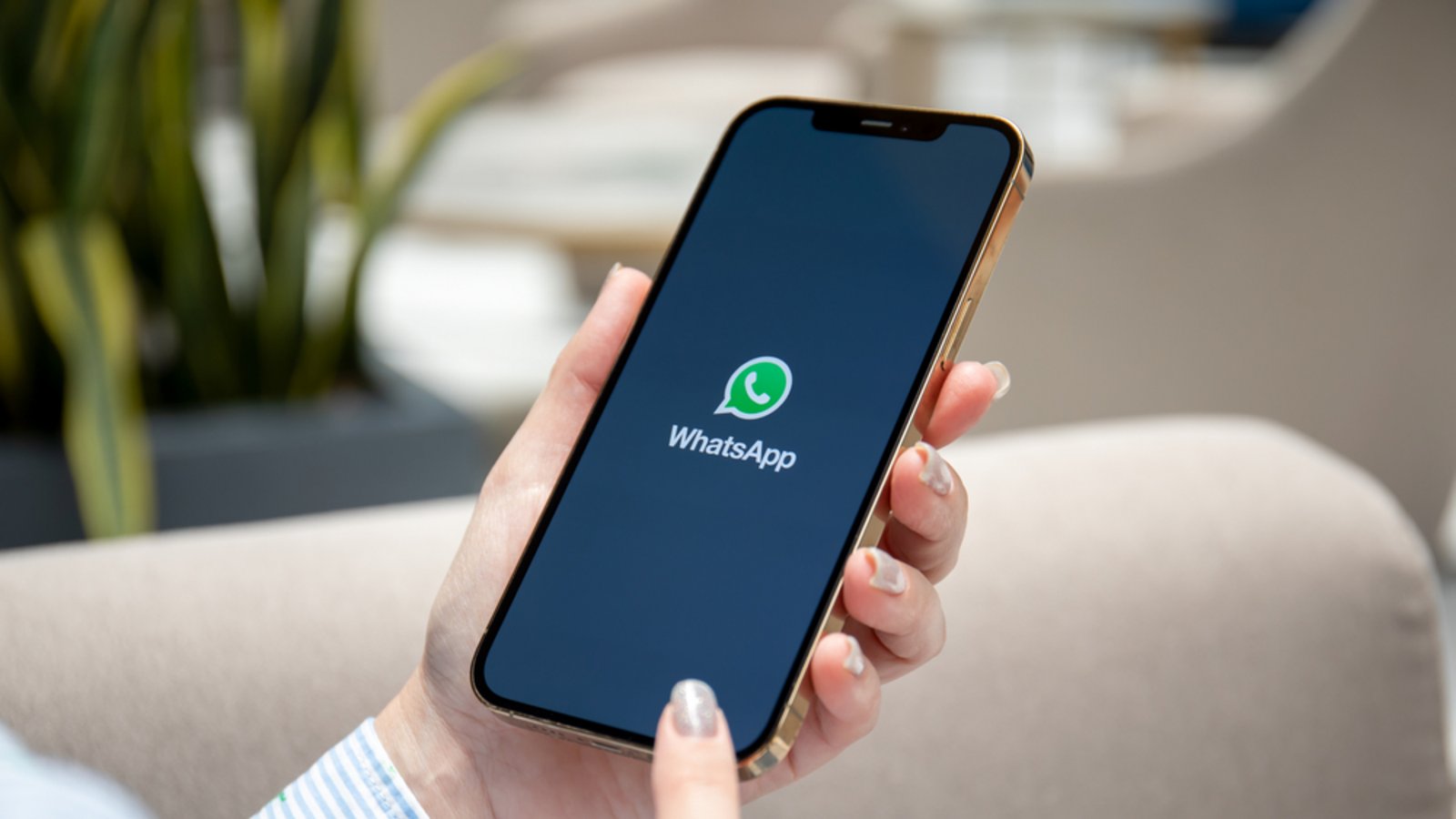 Emojis, Sticker und Co: WhatsApp bietet eine große Auswahl, um eine Unterhaltung aufzupeppen.Foto: DenPhotos / shutterstock.com