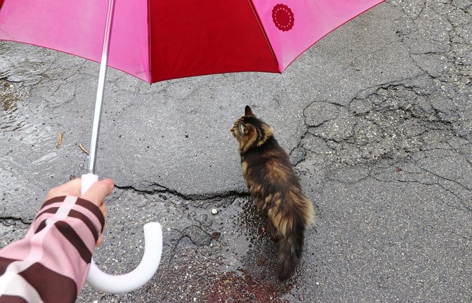 Kommt der Sommer bald wieder?<span class='image-autor'>Foto: Astrid Gast / shutterstock.com</span>