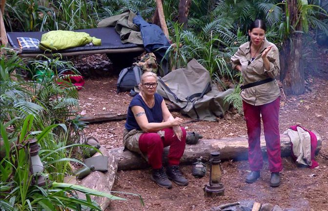 Bald ist es wieder menschenleer im Dschungel<span class='image-autor'>Foto: RTL/RTL</span>
