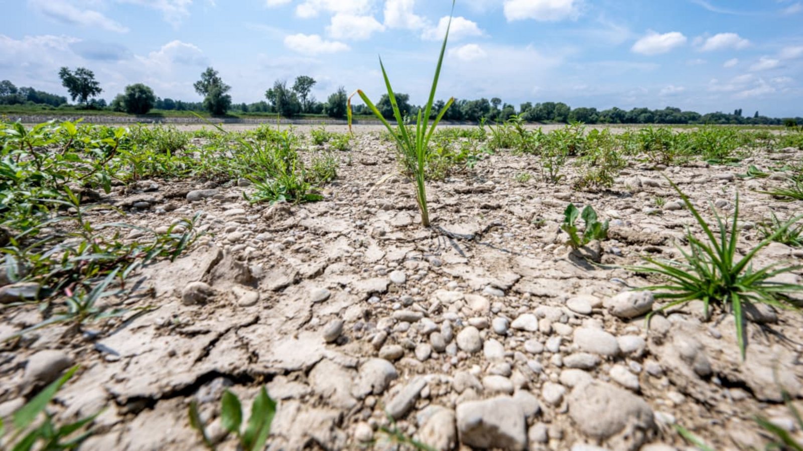 ARCHIV - 15.07.2026, Bayern, Mariaposching: Ausgetrocknet ist eine Sandbank beim bayerischen Mariaposchin an der Niedrigwasser führenden Donau.Armin Weigel/dpa