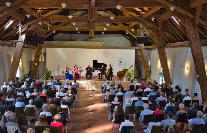 Das letztjährige Auftaktkonzert in der Hohenhaslacher Kelter. <span class='image-autor'>Foto: Binder</span>