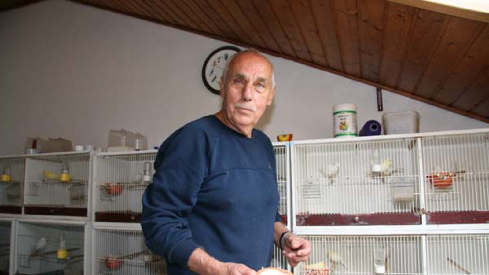 Roland Vosseler mit seinen Kanarien. Foto: Rücker Roland Vosseler mit seinen Kanarien. Foto: Rücker