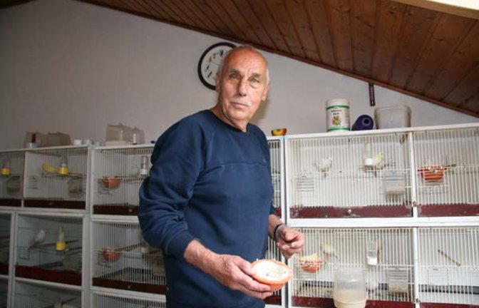 Roland Vosseler mit seinen Kanarien. Foto: Rücker