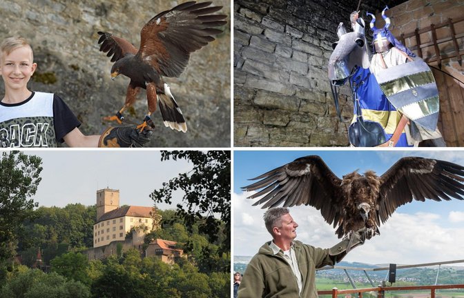 Stolze Vögel und mittelalterliche Atmosphäre auf Burg Guttenberg.<span class='image-autor'>Foto: Burg Guttenberg</span>